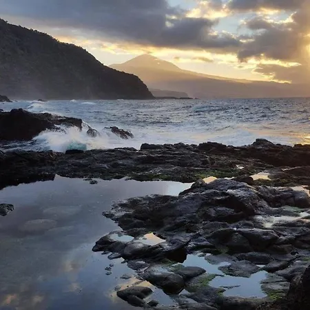 Sweetpearl * Такоронте