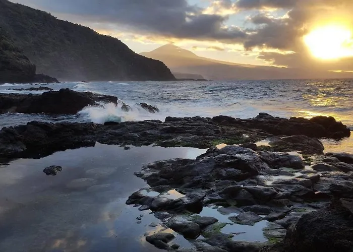 Sweetpearl * טקורונטה